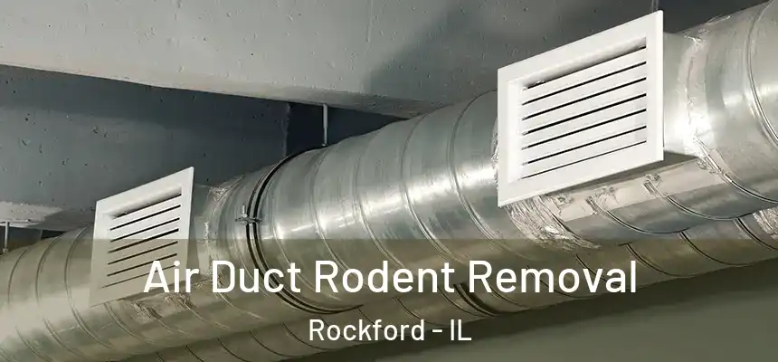 Air Duct Rodent Removal Rockford - IL