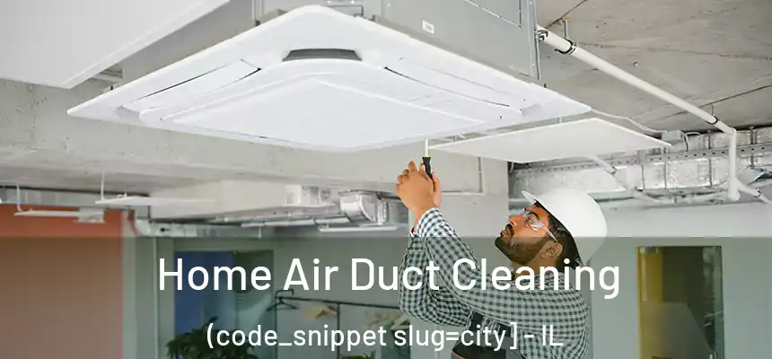  Home Air Duct Cleaning (code_snippet slug=city] - IL