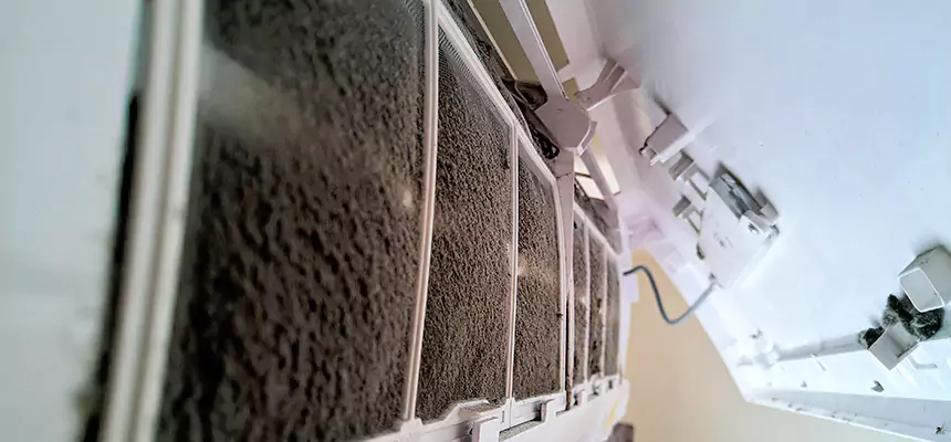 Preventive Air Duct Bacteria Removal in Rockford