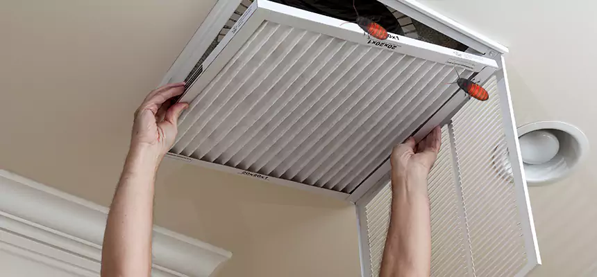 Preventive Cockroach-Proofing for Ducts in Rockford