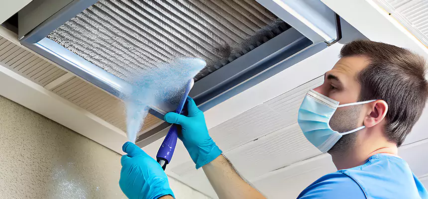 Proactive Dryer Vent & Auxiliary Duct Pollen Cleanup in Rockford, IL