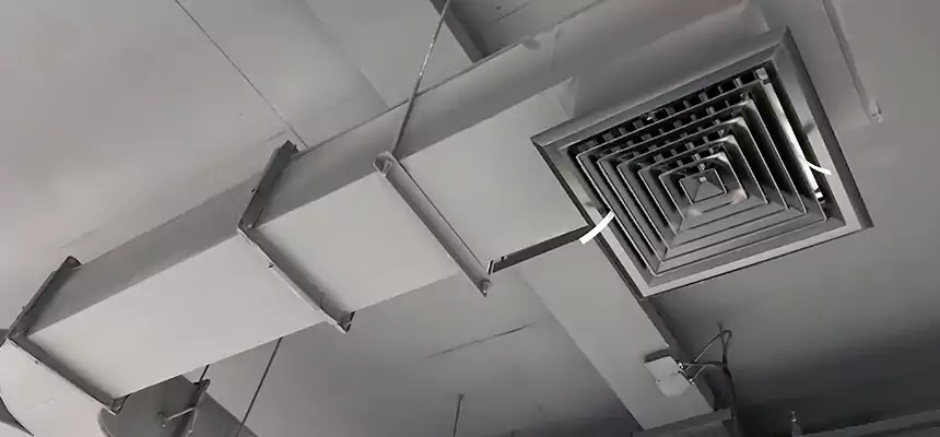 Restorative Allergy Relief Vent Cleaning – Coil, Blower & Housing Detail in Rockford