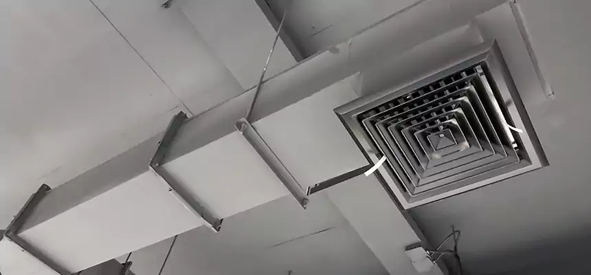 Our Rodent Droppings In Vents Services in Rockford, IL