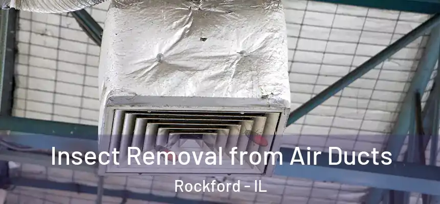  Insect Removal from Air Ducts Rockford - IL