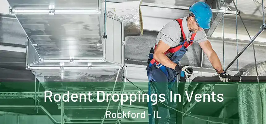  Rodent Droppings In Vents Rockford - IL