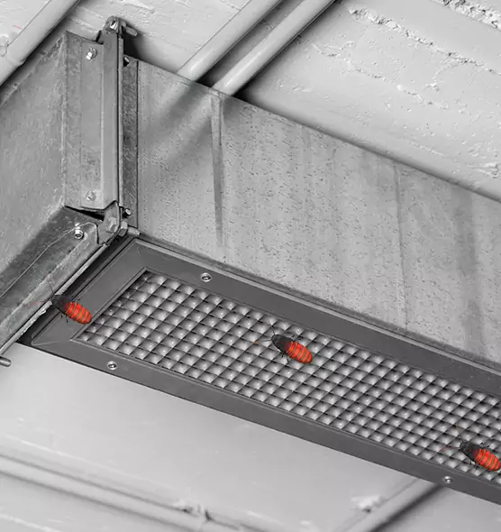 About Air Duct Cockroach Removal in Rockford, IL
