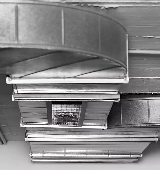 Professional Air Duct Pet Hair Removal in Rockford, IL