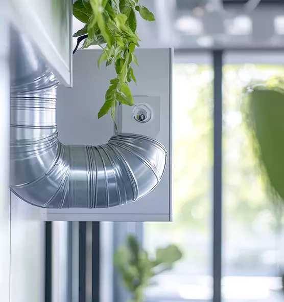 Professional Eco-Safe Dryer Vent Cleaning in Rockford, IL