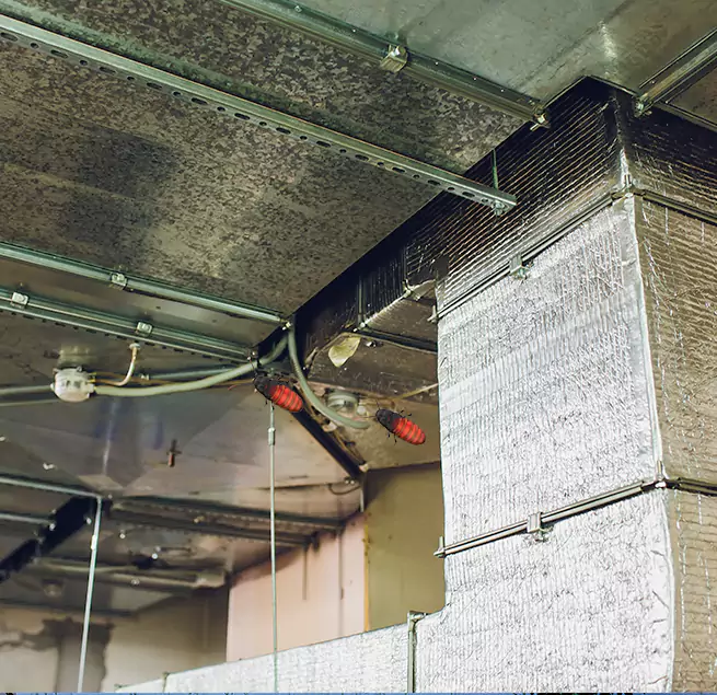 Why Homeowners & Businesses Trust Us in Rockford, IL?