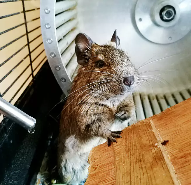 Why Homeowners & Businesses Trust Us Rockford, IL